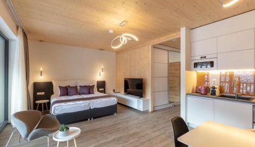 Studio Apartment