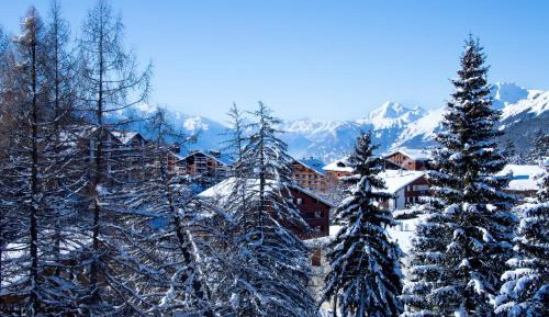 Four-Bedroom Deluxe Apartment