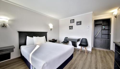 One Queen Bed