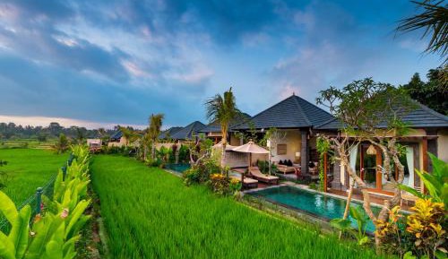 One Bedroom Private Pool Villa with Rice field View