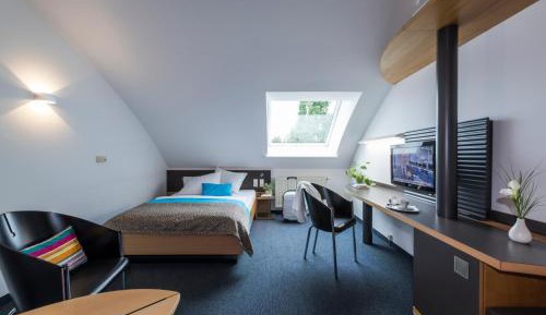 Comfort Single Room