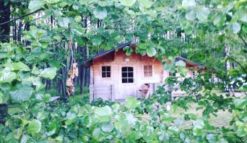 Summer Cottage
