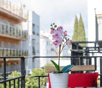 Apartment with Balcony