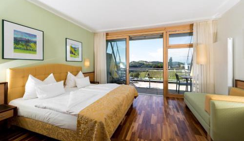 Double Room with Balcony and Vineyard View