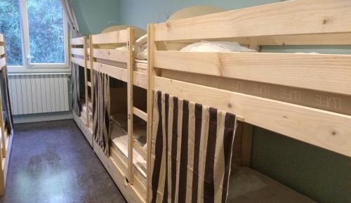 Bunk Bed in Mixed Dormitory Room