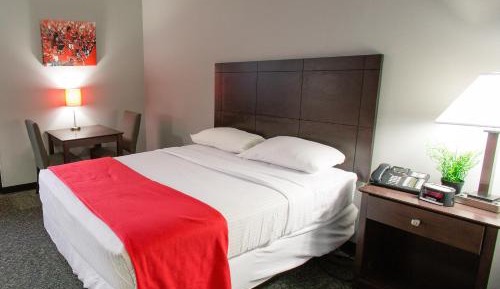 Queen Room