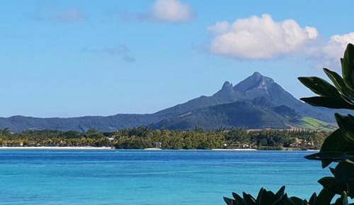 Apartment with Garden View