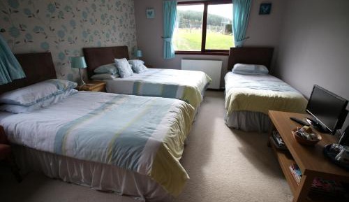 Standard Family Room