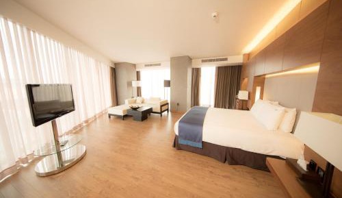 One-Bedroom King Suite with Living Area