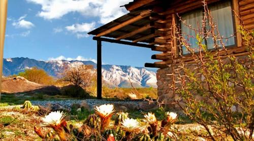 Family Bungalow