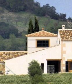 Panoramic Single Room