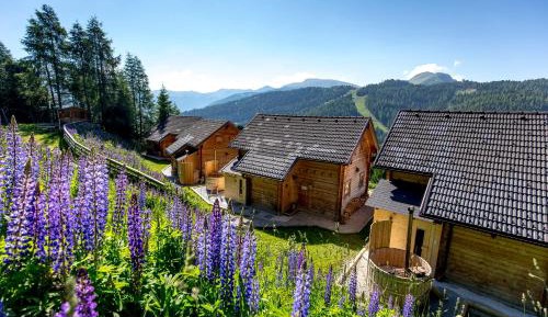 Chalet with Sauna