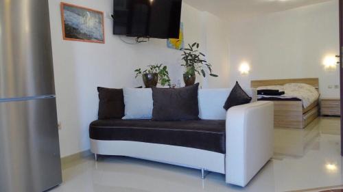 Studio Apartment with Kitchen