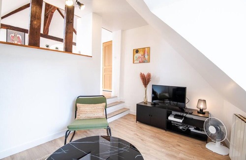Amboise Apartment | Amboisian attics