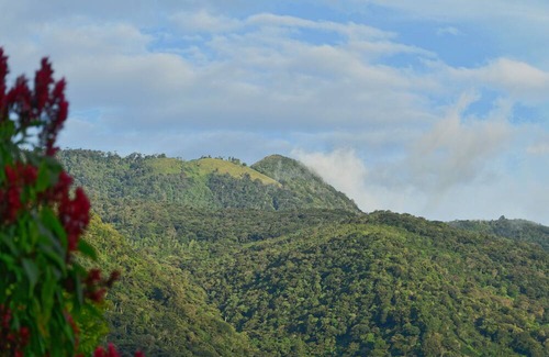 Boquete House | Ecoresort: We are Panamas leading honey producer and butterfly exhibit.