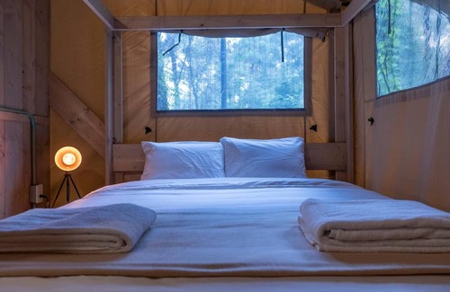 Avandaro House | Macadamia, amazing lodge with great view
