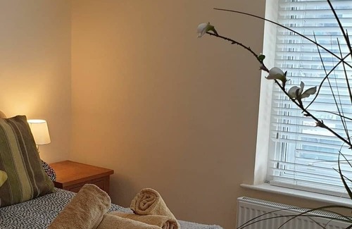 Aberystwyth Apartment | LUXURY DOUBLE ROOM WITH ENSUITE IN THE HEART OF ABERYSTWYTH