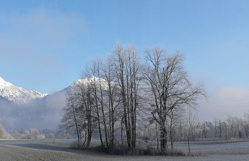 Bled Apartment | The Apartments Kristan are located in Bled, at the edge of the lovely meadow fro