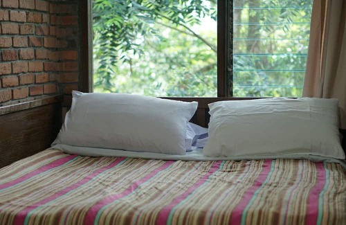 Ciloto Hotel | The Pinewood Lodge & Organic Farm