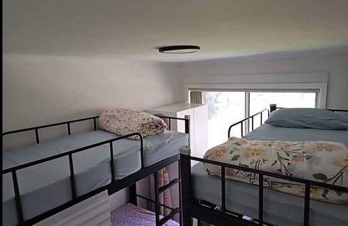 Ashcroft Hotel | Bluetongue Hideout