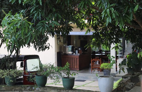 Sevanagala Hotel | Jungle Paradise Hotel