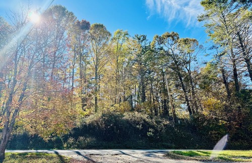 Linville Falls Cabin | Parkview Lodge & Cabins
