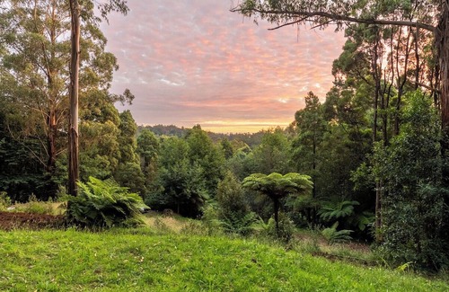 Kallista Apartment | Woodland Belle with mountain view @ Forrest Olinda