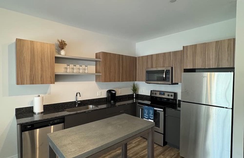 Midtown Apartment | 2BR2B Modern Oasis D/twn Detroit with Pool. Walk to all stadiums and theatres