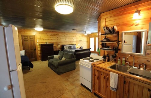 Edgemont Apartment | Greers Ferry Lake Front Studio