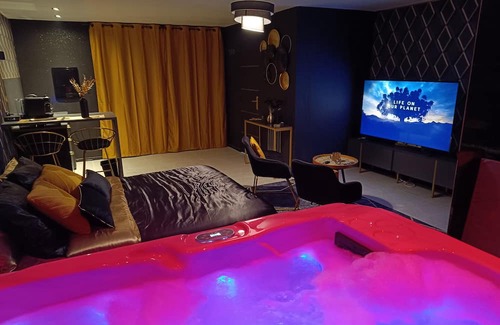 Marsillargues Apartment | Apartment, Suite with Spa, close to beaches