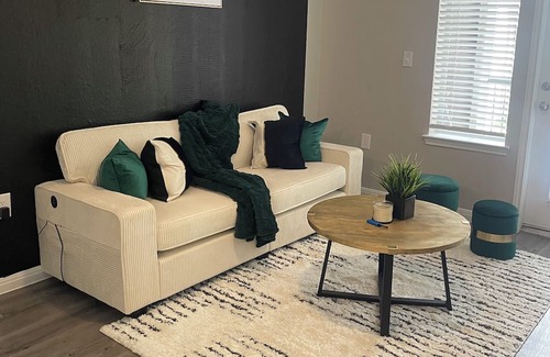 Midtown Apartment | Emerald Gem N Midtown! 8 minutes from everything in downtown/midtown houston!