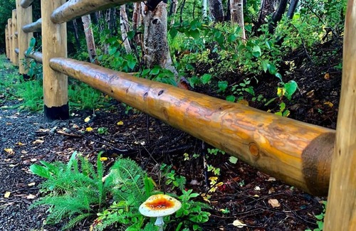 Trapper Creek Apartment | Bunker Lodge Apartment-HCRL