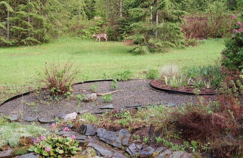 Salmon Arm Cabin | Glow, a canvas cottage with lake views and lake access. Glamping at its finest.