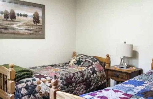 Montrose Cabin | Charming cabin with creek, fire pit. Pet friendly! Walkable to Salt Springs Prk