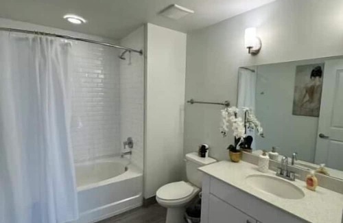 Downtown Hollywood Condo | Luxury Condo in Downtown Hollywood