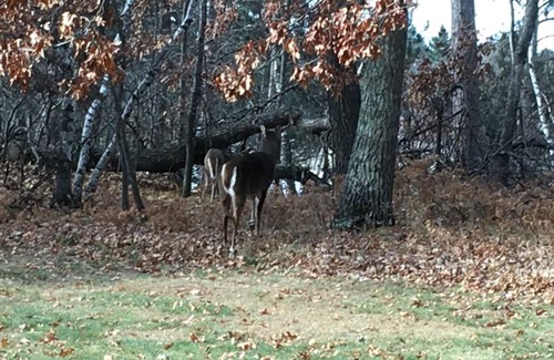 Lake Shore Condo | Nisswa - enjoy a summer on the lake