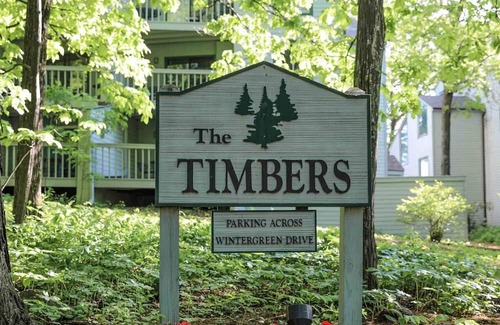 Wintergreen Condo | Timbers Studio 06 with Wintergreen Advantage