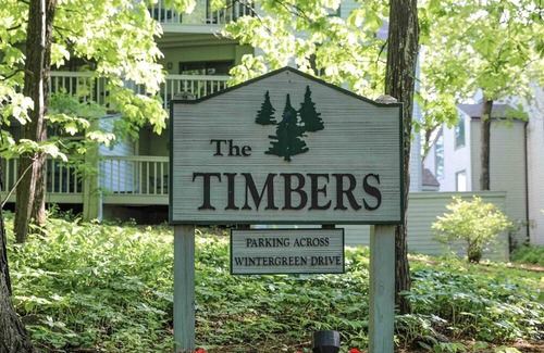 Wintergreen Condo | Timbers Studio 05 with Wintergreen Advantage