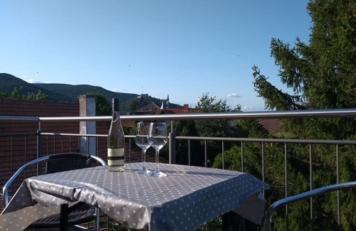 Maikammer Apartment | Holiday apartment Weingut Deck