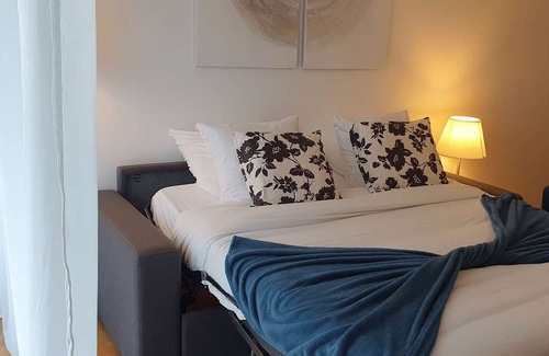 Cachan Apartment | Spacieux Appartement Tulipe