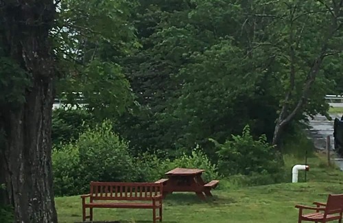 Lochmere Cabin | 1 BR Cabin with Dock and Shared Beach