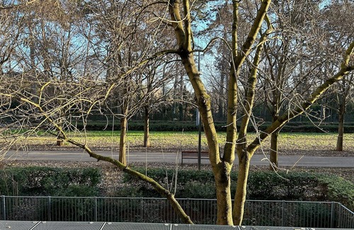 6th Arrondissement Apartment | Appartement 85m2 vue sur le Parc de la Tête D'or