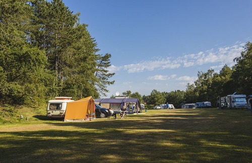 Wilsum RV Rental | In the morning you wake up to the chirping birds and the sun's rays invite you to come outside. Become one with nature and come and enjoy a relaxed and wonderful holiday!