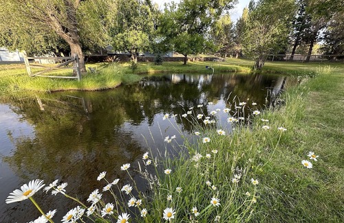 Bend House | Bend beauty on 2 private acres. Just minutes from parks and downtown.