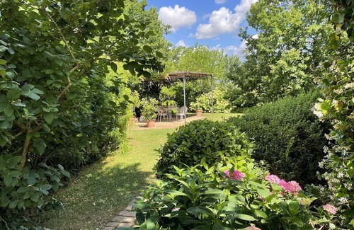 Montopoli in Val d'Arno Apartment | Authentic country house in the heart of Tuscany with bio pool and private patio