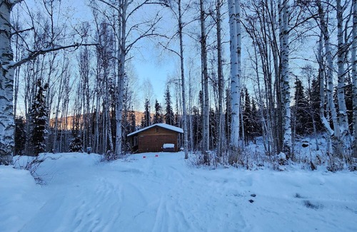 Fairbanks Cabin | Springwater Retreat S