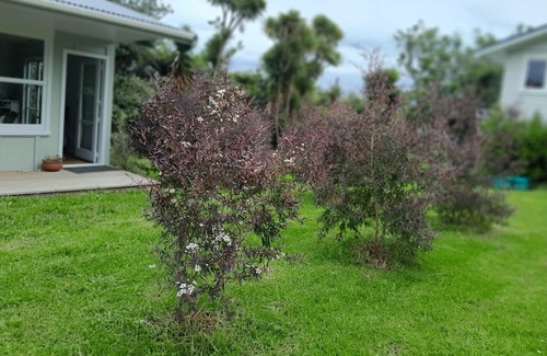 Raglan House | My Little Place in Raglan by the Beach!