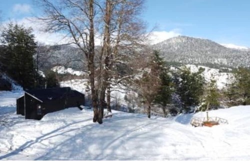 Melipeuco Cabin | Hermosas Cabañas con Tinaja a 2 km del Volcán Sollipulli
