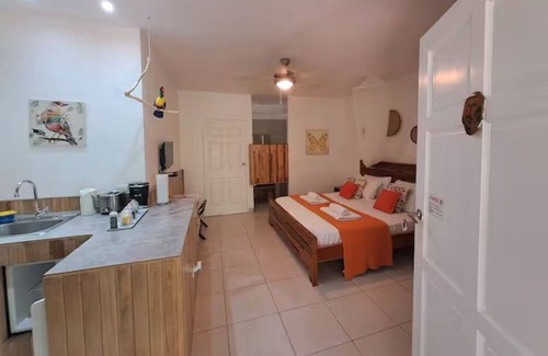 Tamarindo Apartment | A large room for two fully equipped with a private terrace.