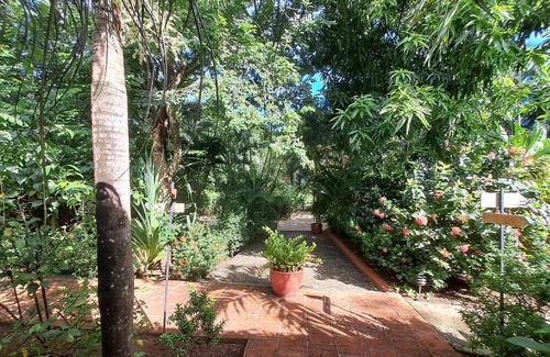Tamarindo Apartment | Mono studio